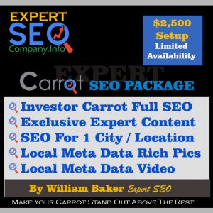 Investor Carrot SEO services